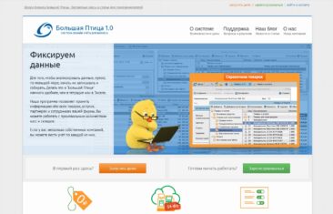 Большая птица